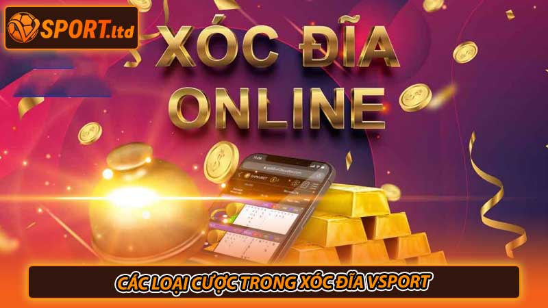 Các loại cược trong xóc đĩa Vsport